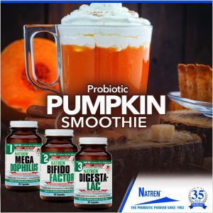 Probiotic Pumpkin Smoothie